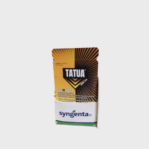 Tatua