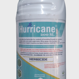 Hurricane