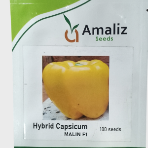 Malin F1 Sweet Pepper Seeds