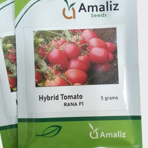 Rana F1 Tomato Seeds