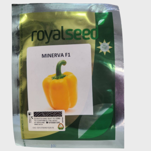 Minerva Capsicum