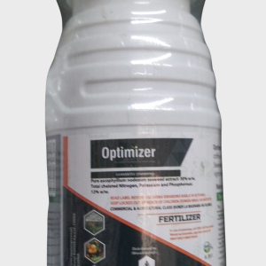 Optimizer