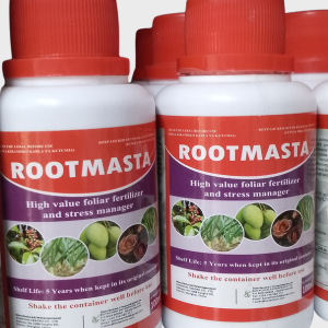 RootMaster
