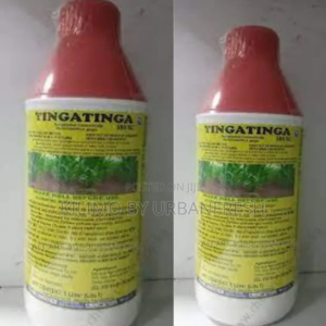 TINGATINGA TOP
