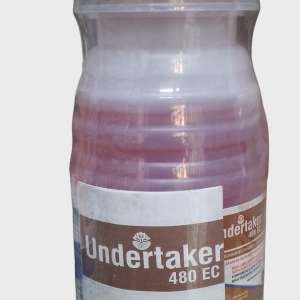 Undertaker