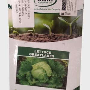 Lettuce Seeds (Local)