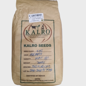 Yellow Beans Seeds (KAT B1)