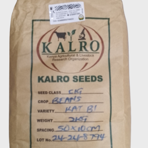 Yellow Beans Seeds (KAT B1) - Image 2
