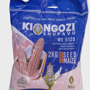 Kiongozi Maize Seeds
