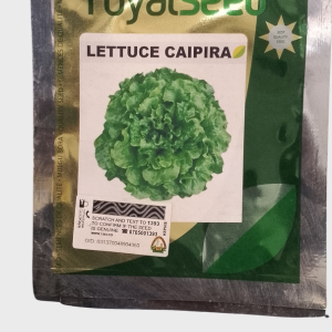 Lettuce Caipara Seeds