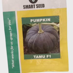 Tamu F1 Seeds (Pumpkin)